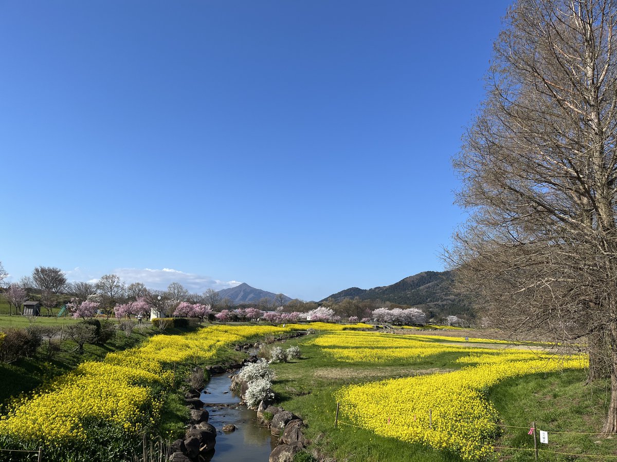 うるき tweet media