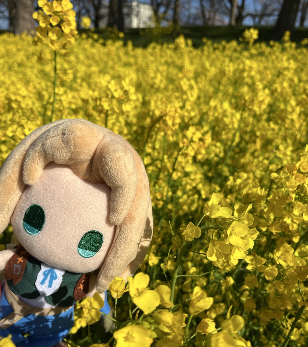 うるき tweet media