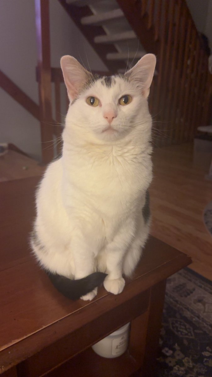 Kitty Finlay tweet media