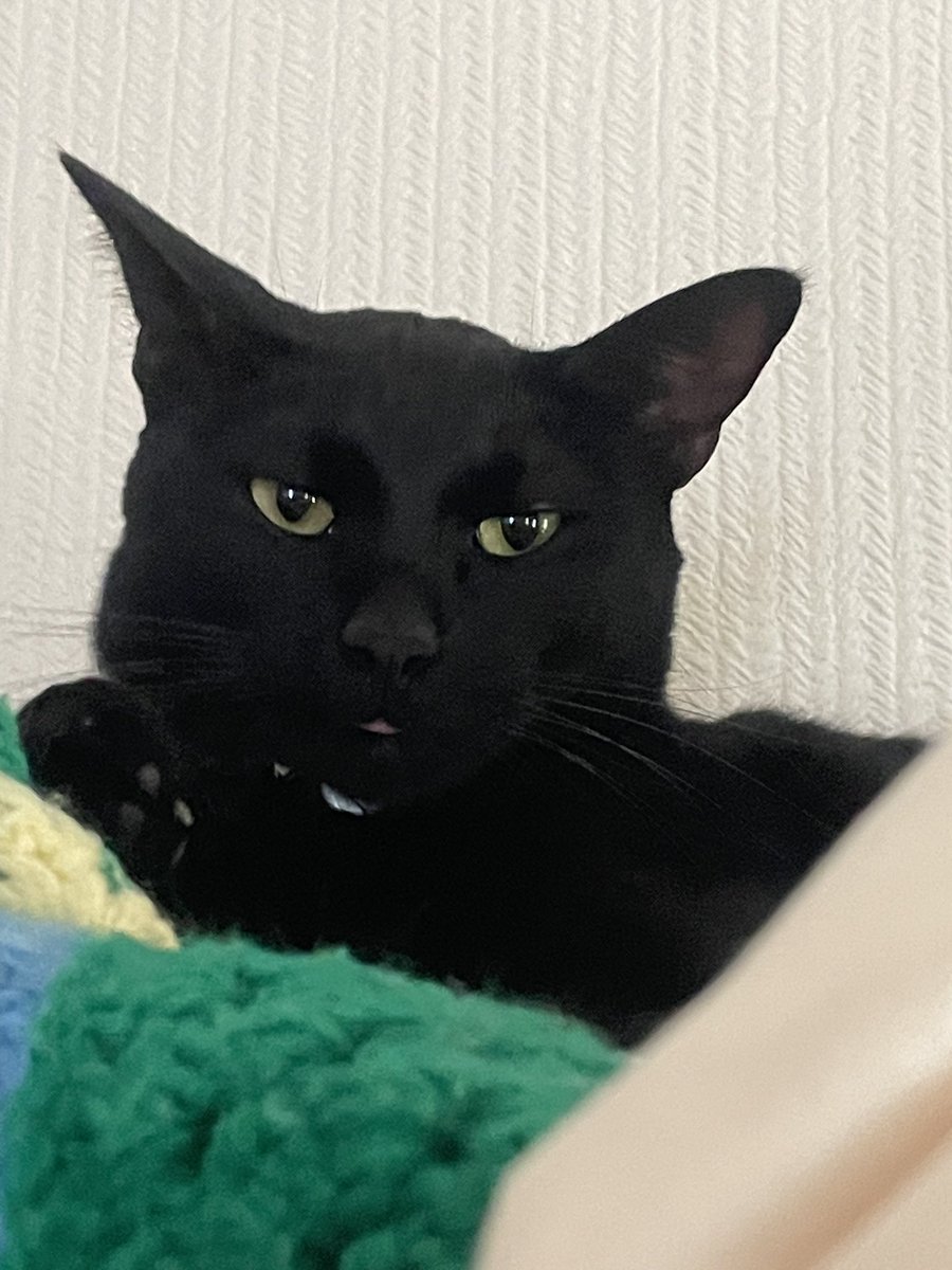 ハッピーアワー✴︎朱叶4/11新曲お披露目サンホール tweet media