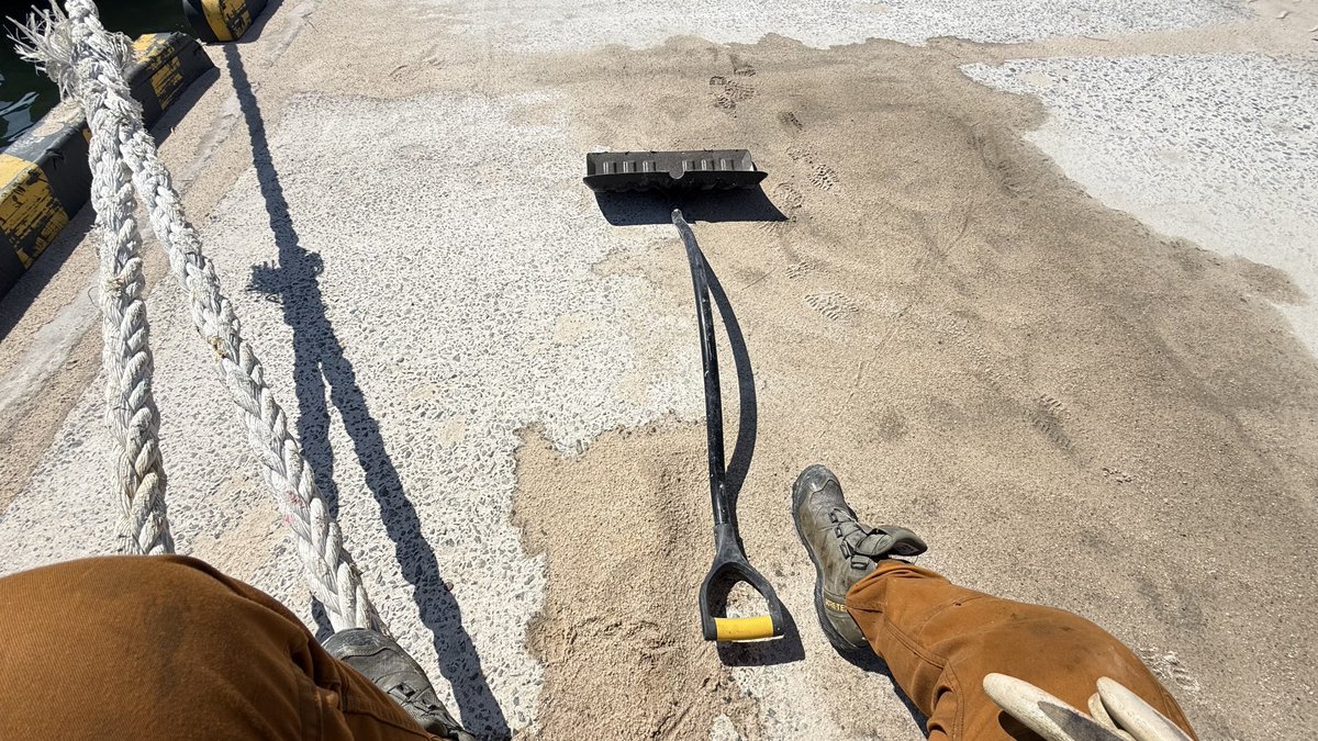 船乗りHonpo6ch【乗船中】 tweet media