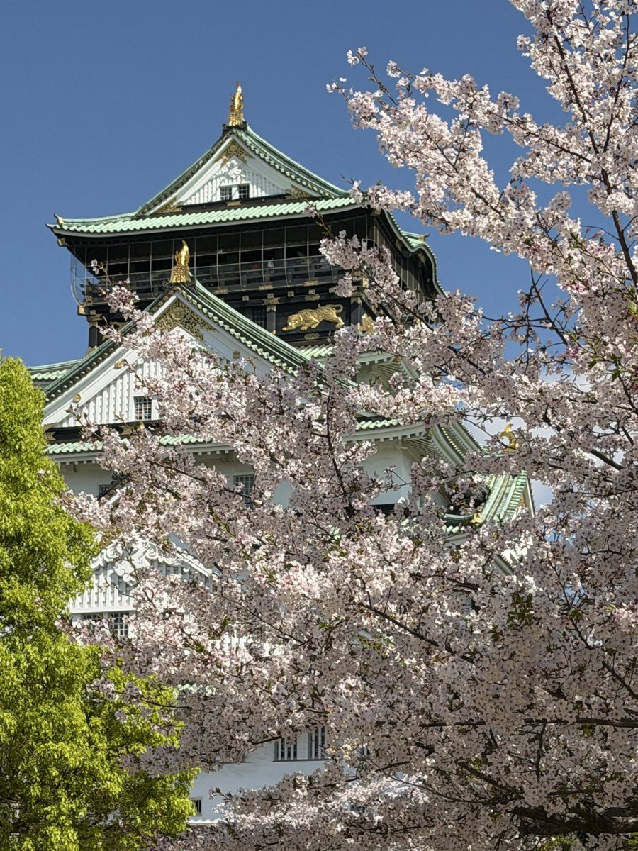 ざきさん 。 📆 tweet media