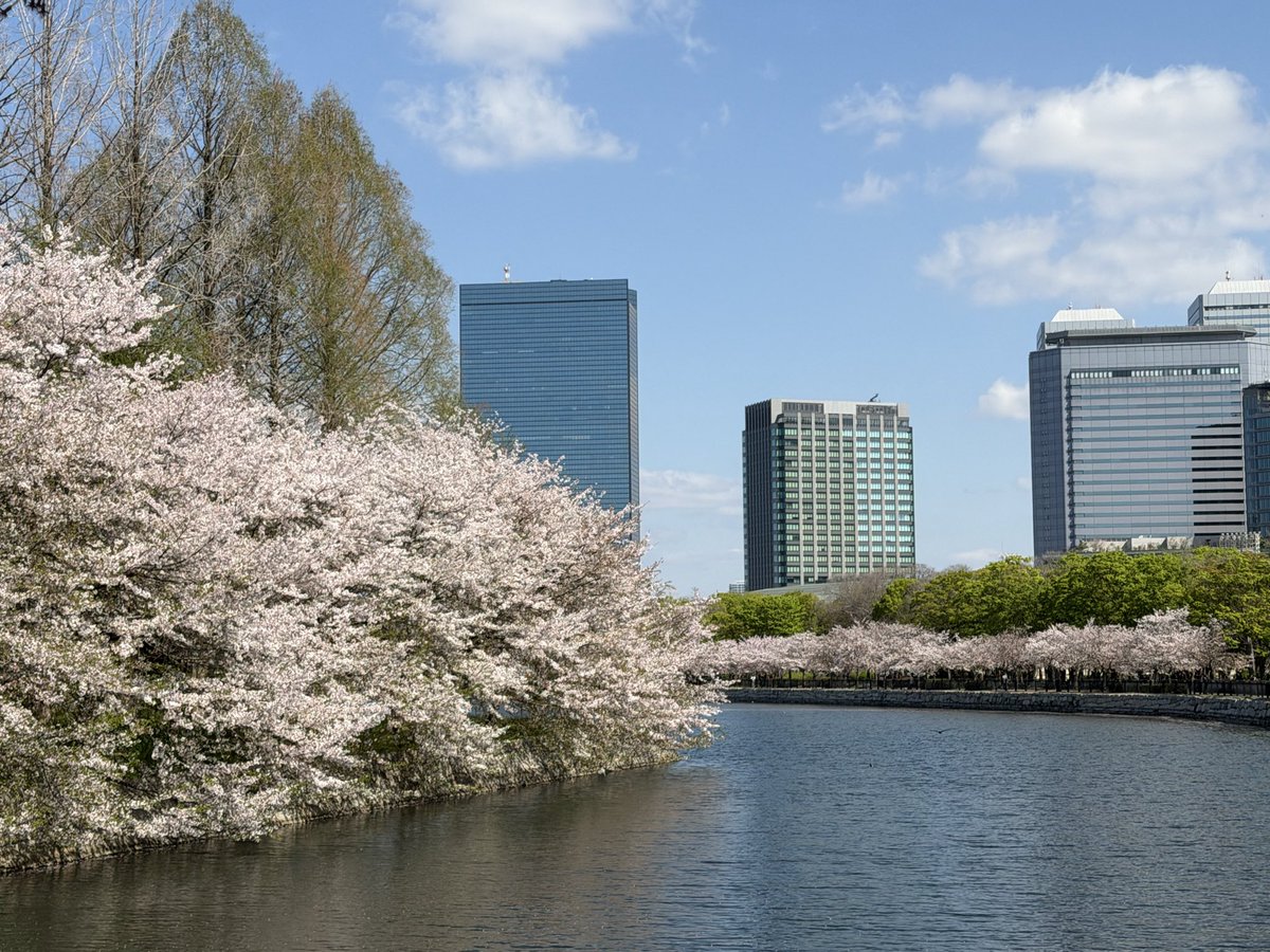 ざきさん 。 📆 tweet media