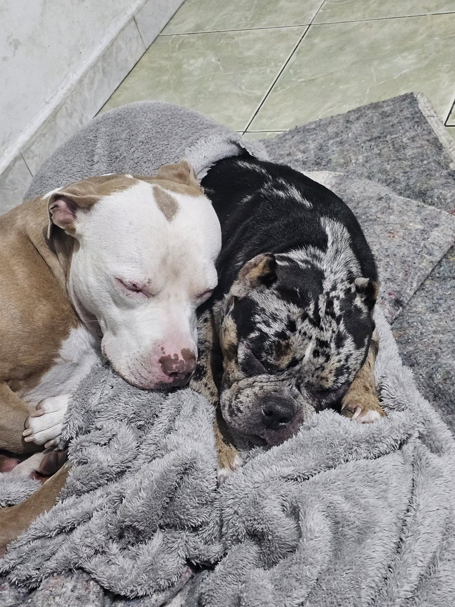 ➶Skinny ᵇᵒʸ➷.. (@thebones97) on Twitter photo 