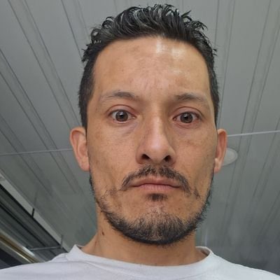 Fabian 🕊️⚡️ tweet media