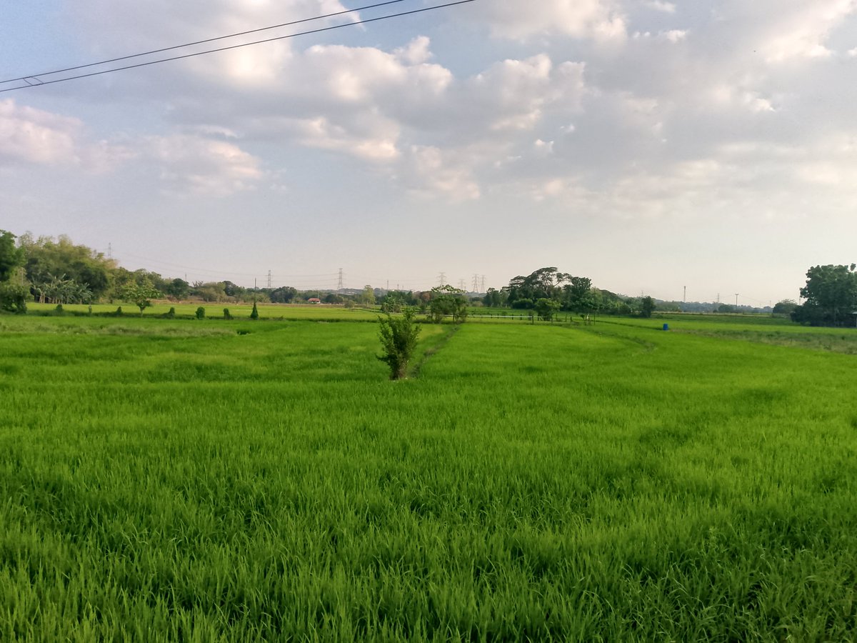 BoyNillosa's tweet photo. The Green Place brgy Dulong bayan Sitio Talisay karyapay SJDM Bulacan https://t.co/VJMd210Bvt