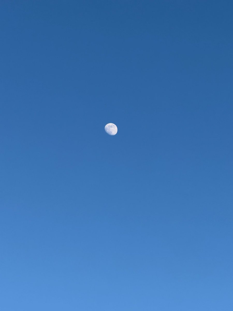 RED 🍁 tweet media