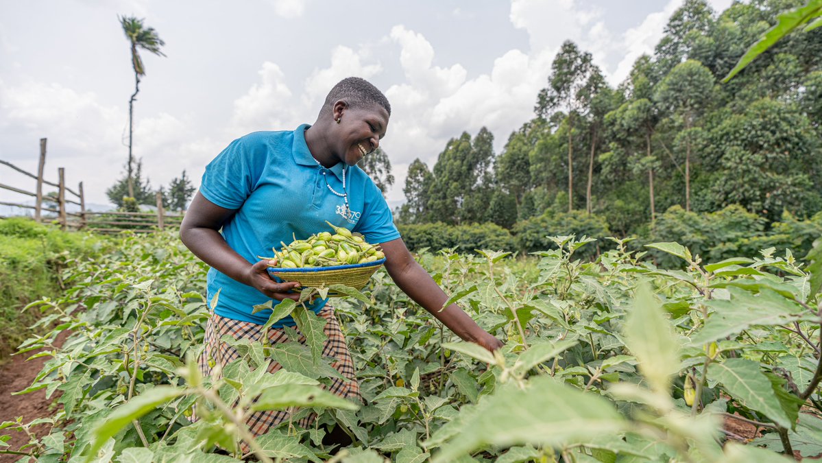 RTVorg's tweet image. 1/3 In last-mile communities, barriers to #health and #wellbeing can limit participation in economic activities. RTV works alongside communities through an integrated approach that improves health outcomes while enabling livelihoods. #worldhealthday #foodsecurity #WASH #equity
