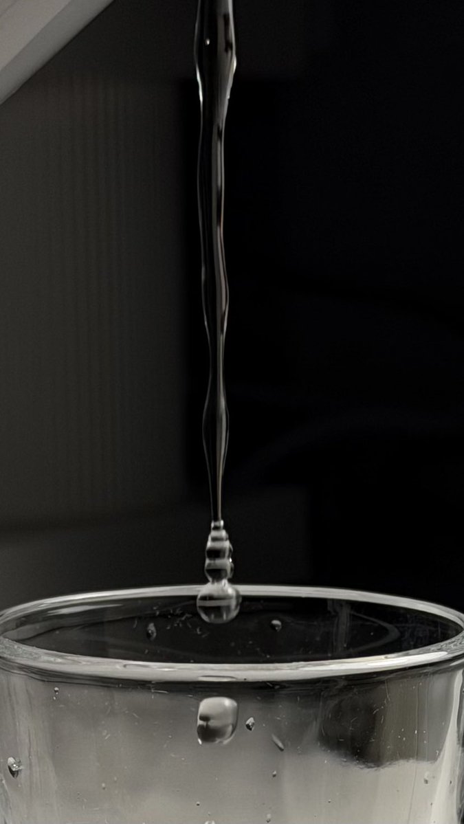 صقُر tweet media