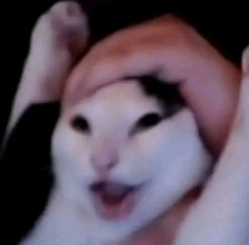 Vero 🚬 (de vuelta) EN CRISIS tweet media