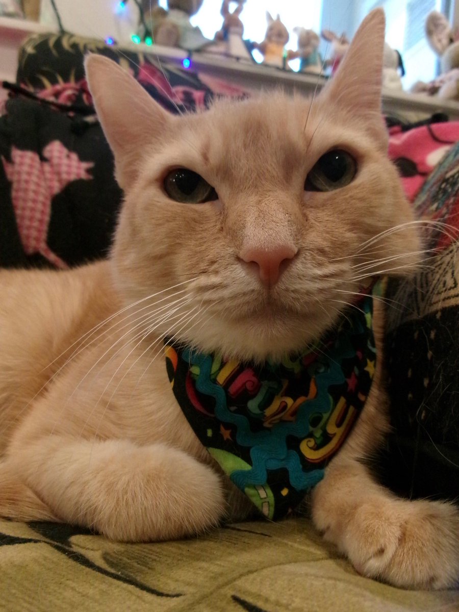 Travis Ford tweet media