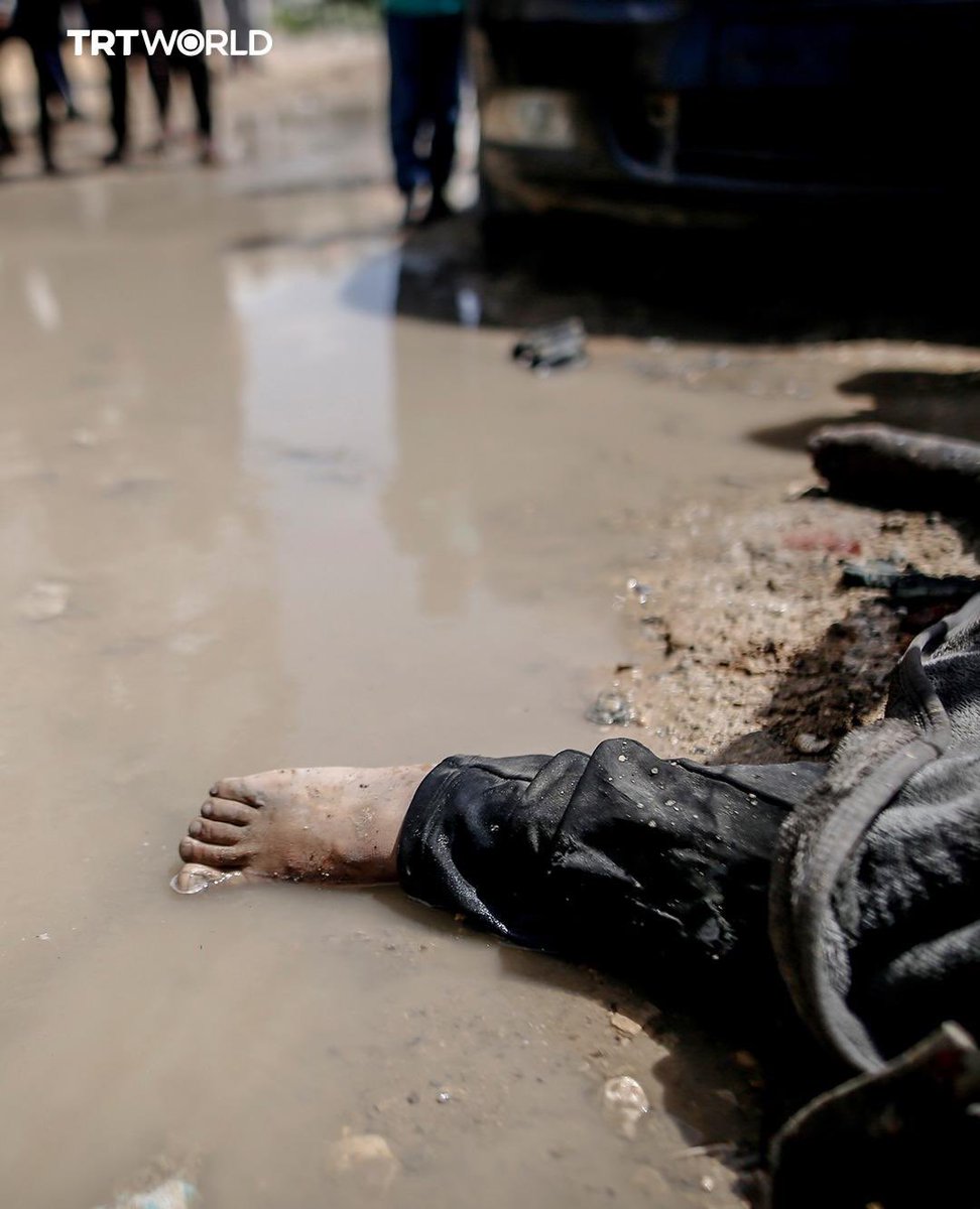 Documenting #GazaGenocide tweet media