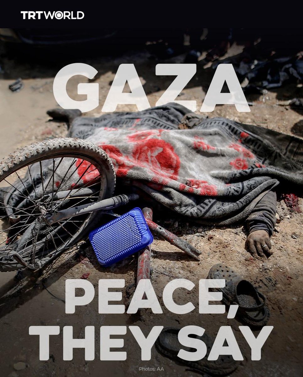 Documenting #GazaGenocide tweet media