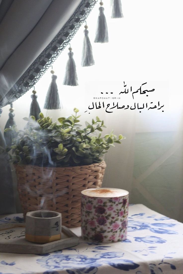 صوفيا tweet media
