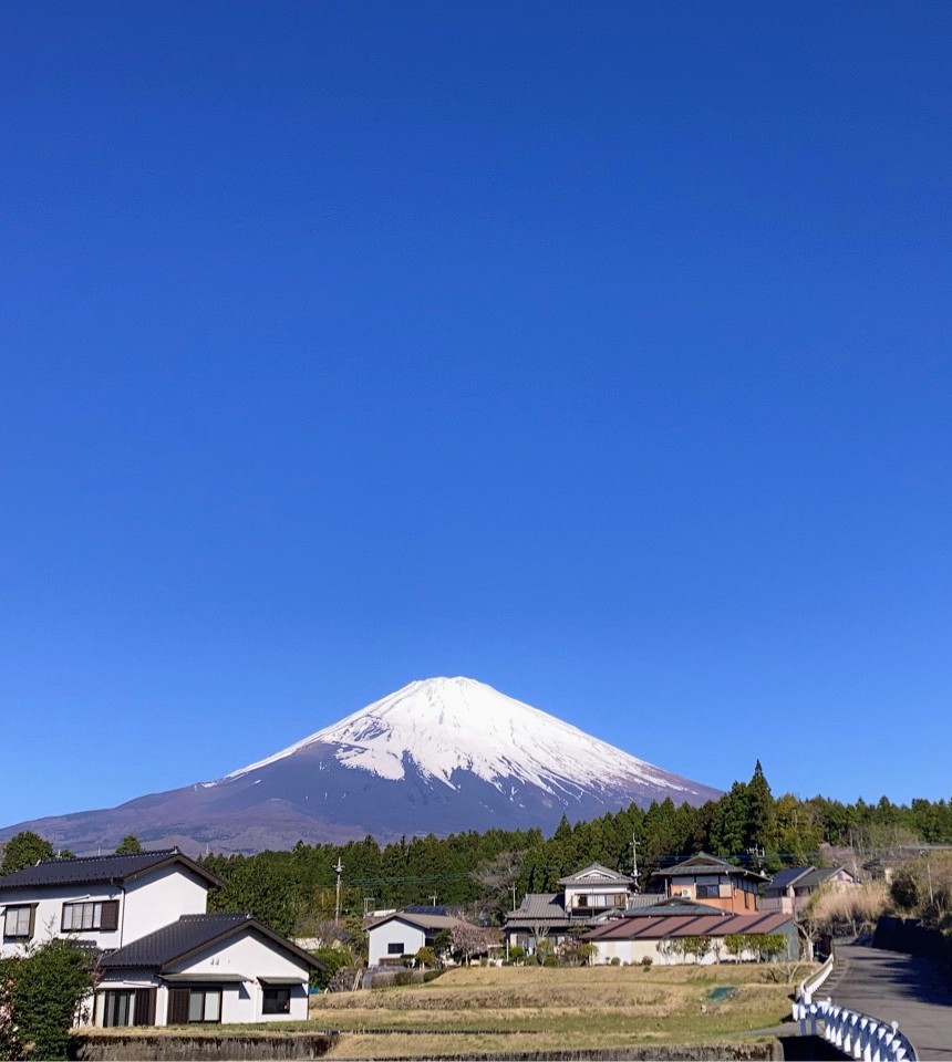 スン・リー tweet media