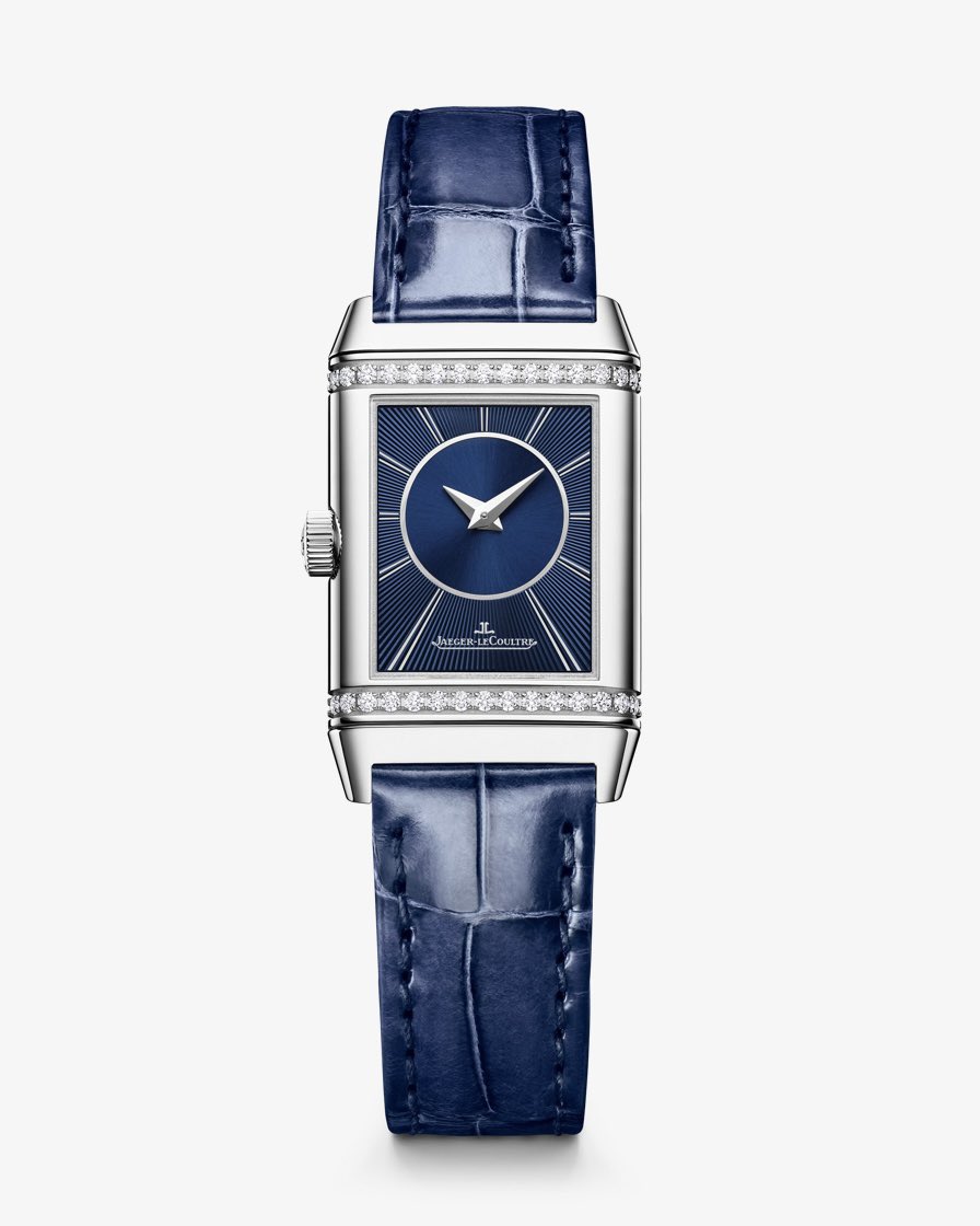 黒蜥蜴 tweet media