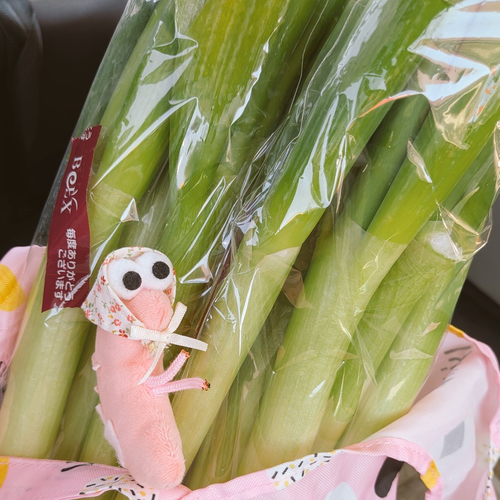 ネギ！安かった！