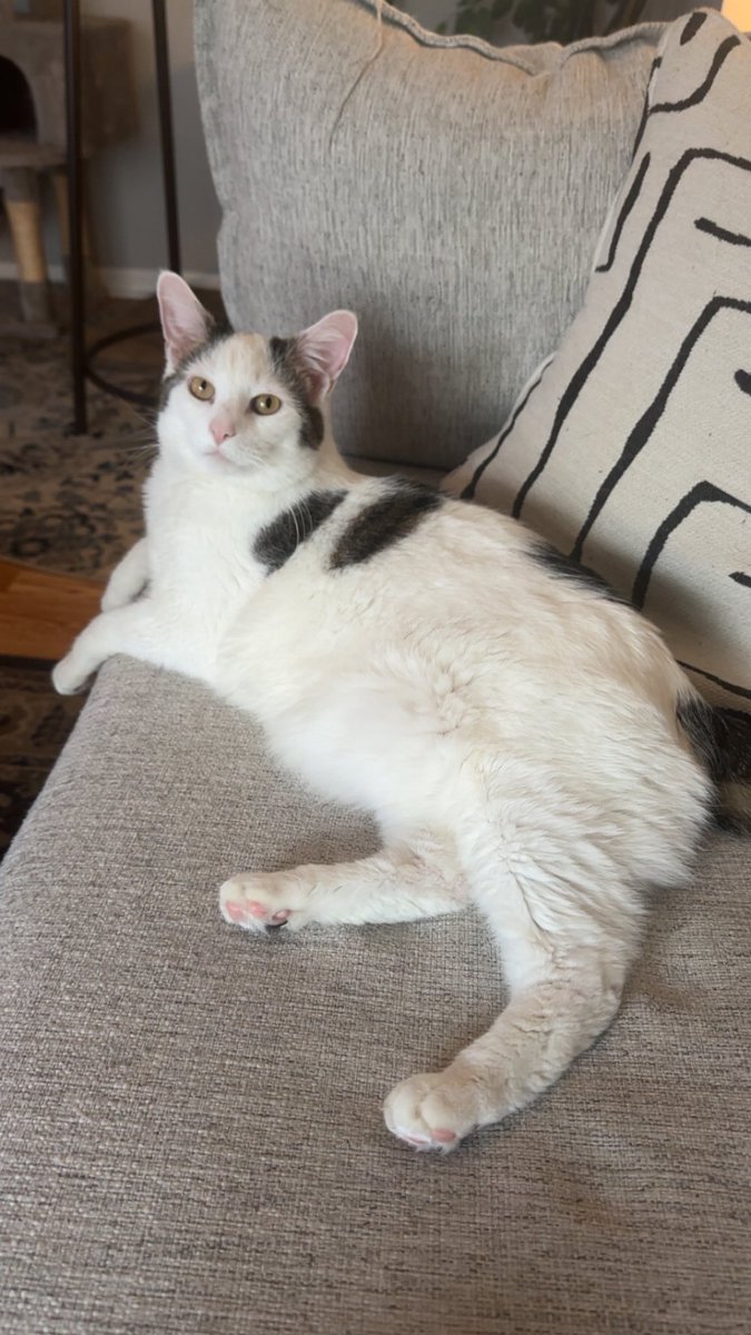 Kitty Finlay tweet media