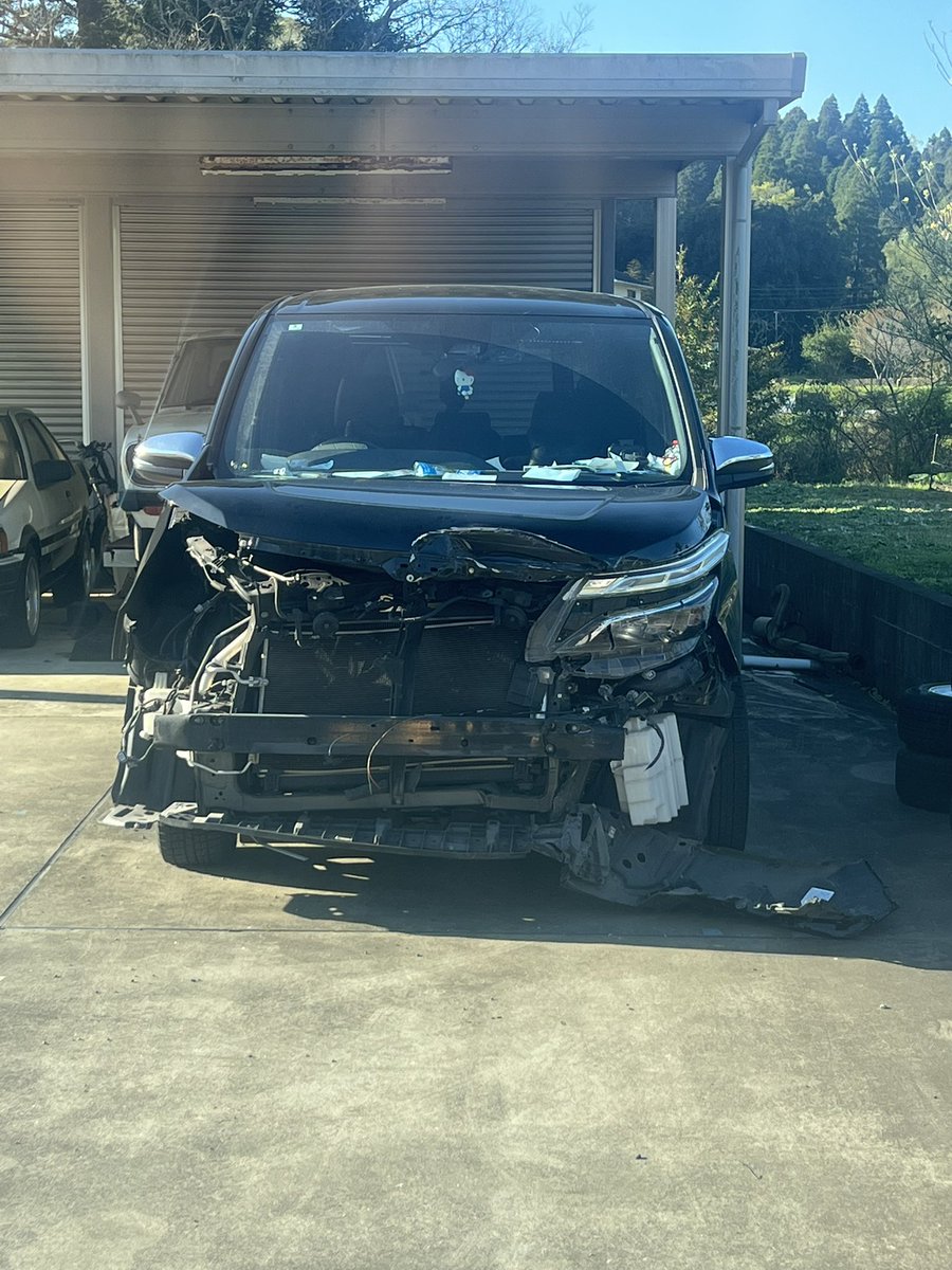 祐介(えび介) tweet media