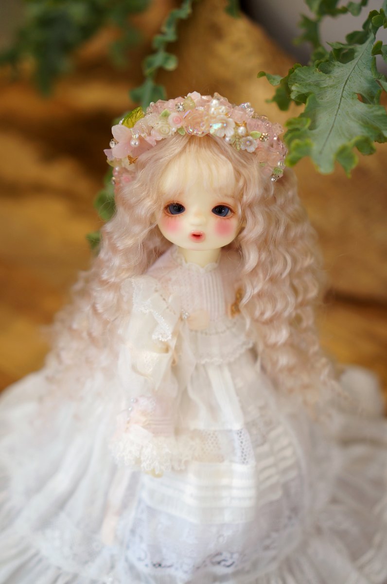 클로에라 tweet media