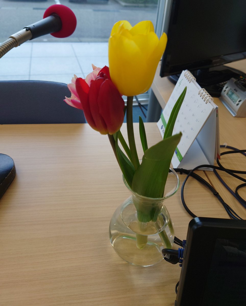 井上 大祐(あだ名:組長) tweet media