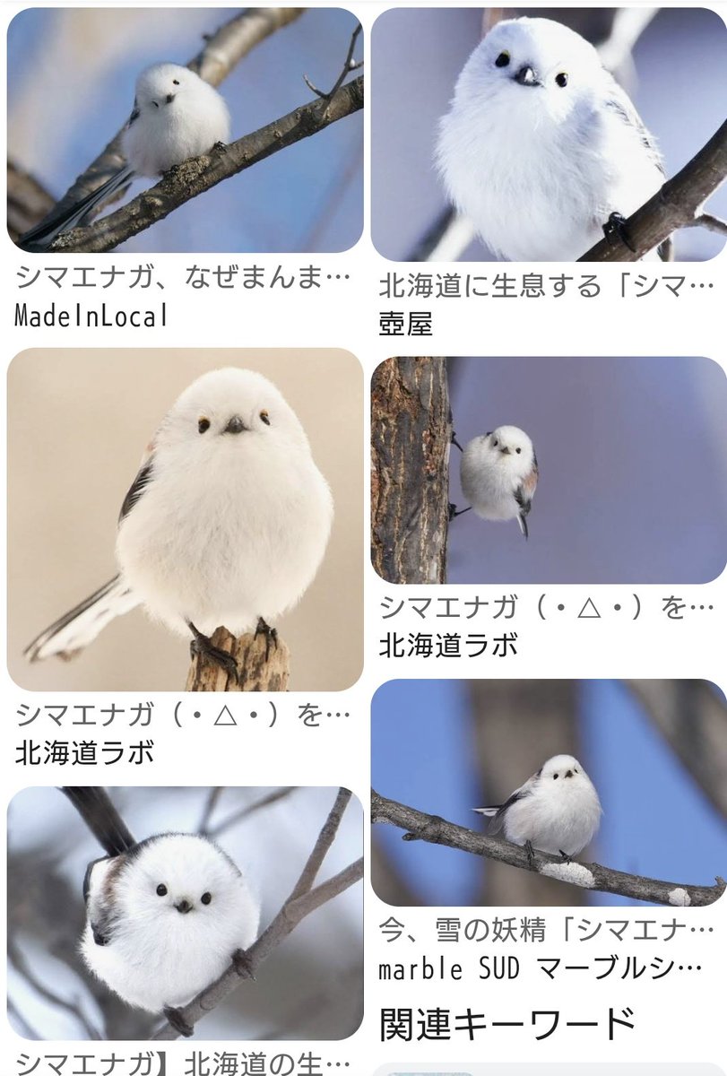 ﾌﾌﾌ(っ ॑꒳ ॑c)……