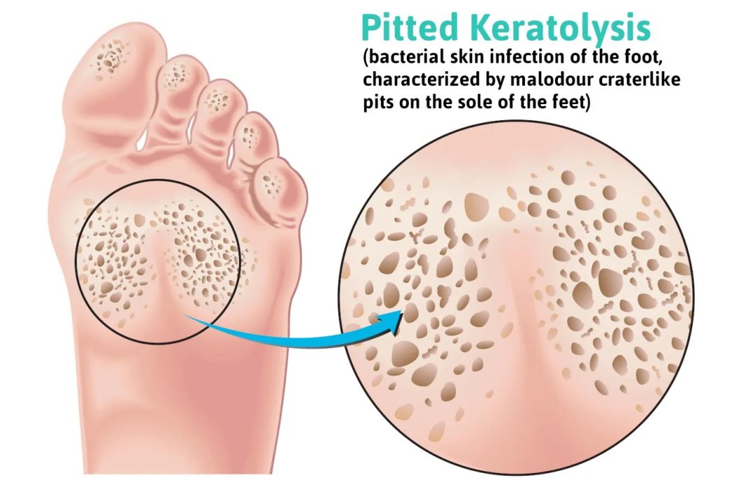 Donal ₿ Crypto tweet media