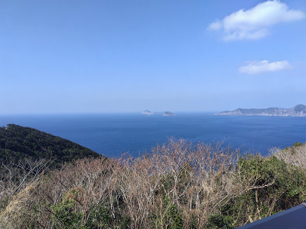 コーリュー tweet media