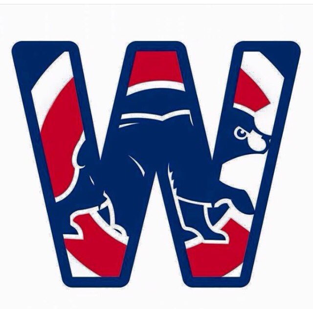 KristyKelly013's tweet image. #Cubs back in the win column...#FlyTheW