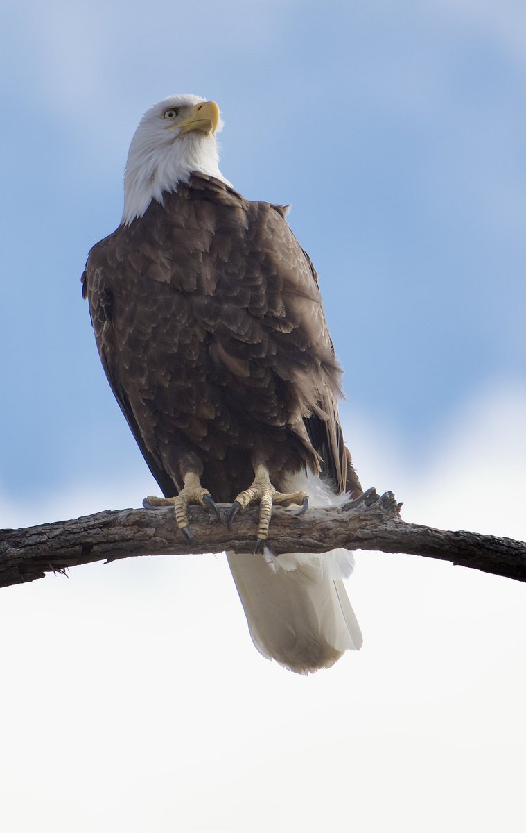 its_jas_deep's tweet image. Nature is not just around us, it is a part of us. 🌿
Every leaf, every breeze, every drop of rain carries a message of peace.
Let’s protect, nurture, and cherish naturebecause when we care for it, it cares for us in return. 💚🌍
#LoveNature #SaveEarth #GreenLife #NatureVibes