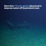 Photo by Queensland Science (@qldscience)