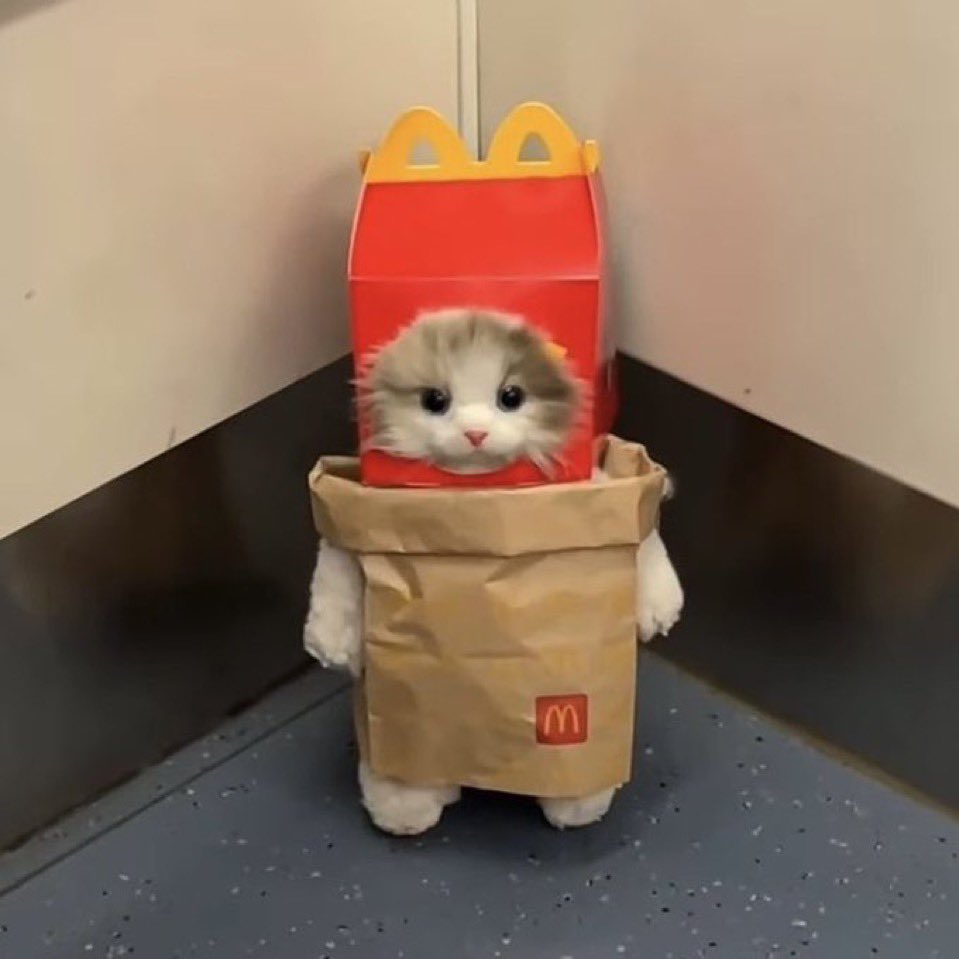 flyingroll tweet media