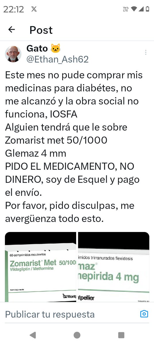 Gato 🐱 tweet media