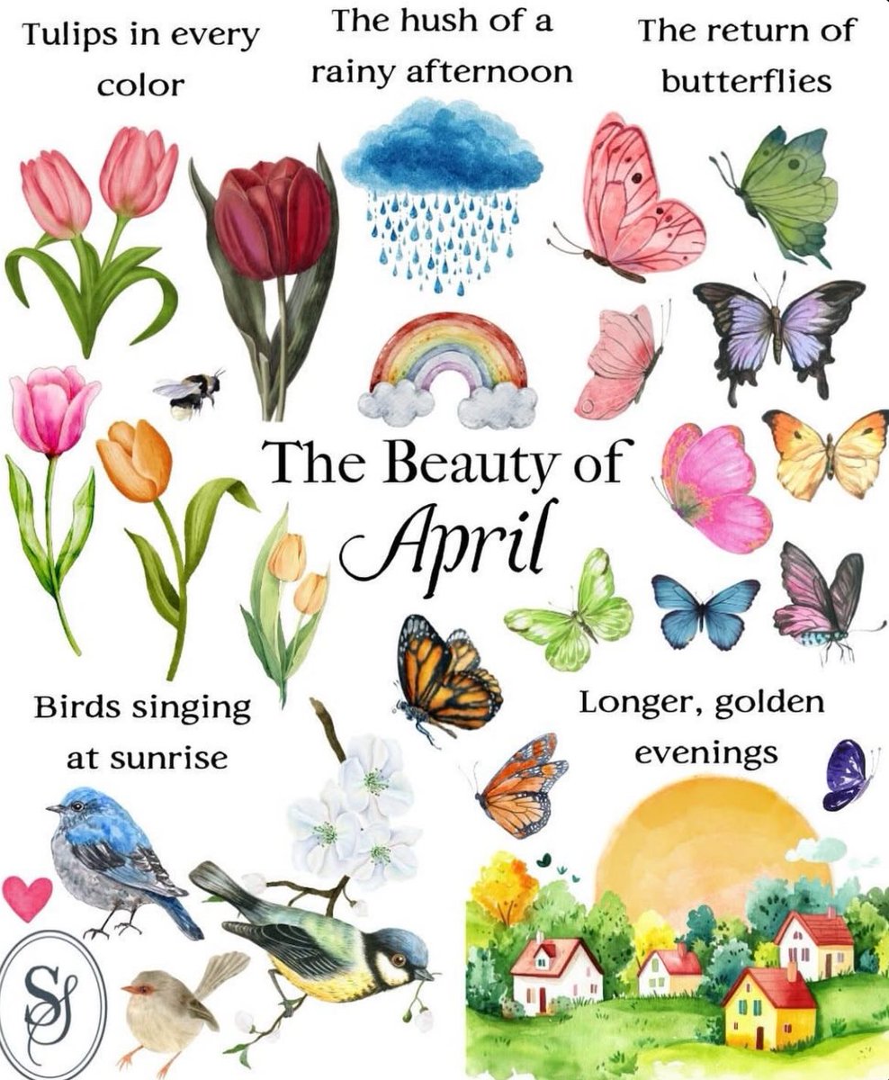 Elle Lookbook tweet media