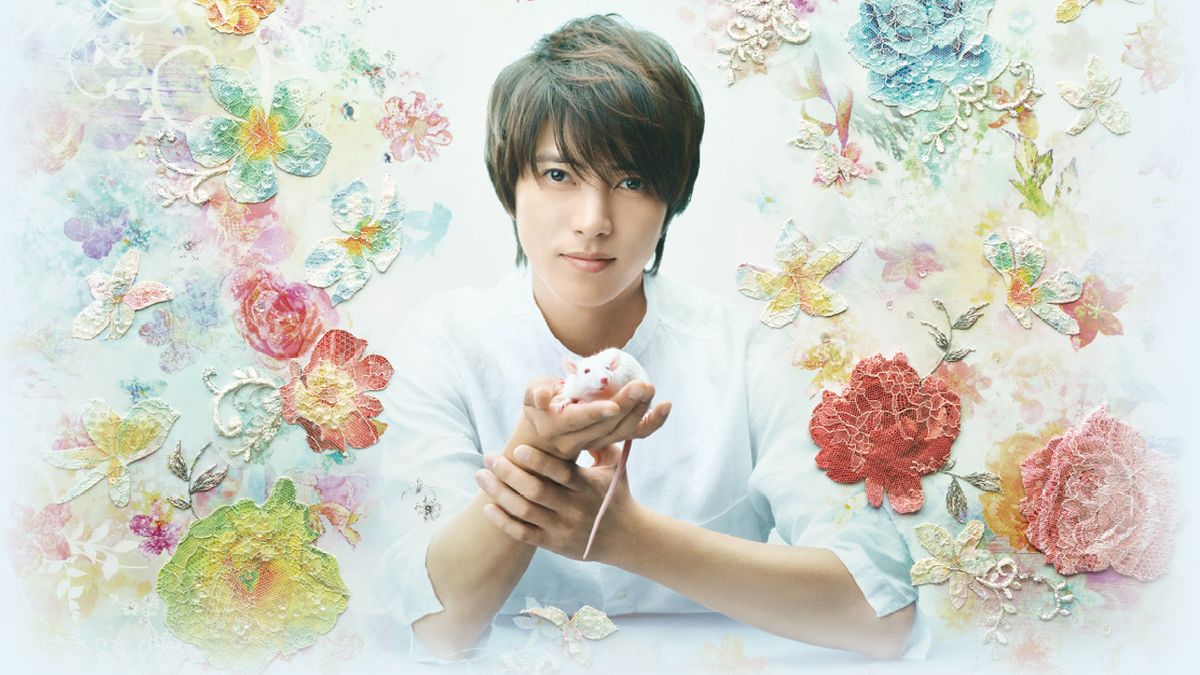 أرشيف الدراما اليابانية tweet media