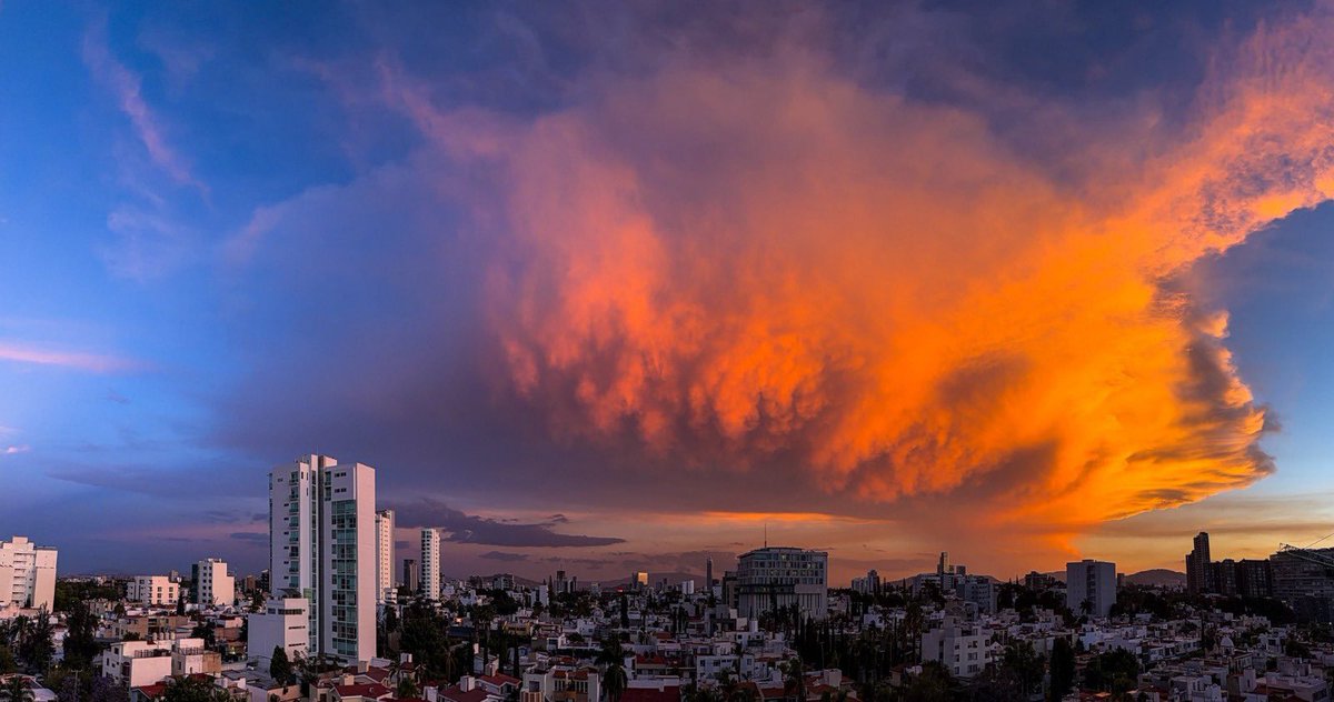 TráficoZMGuadalajara tweet media