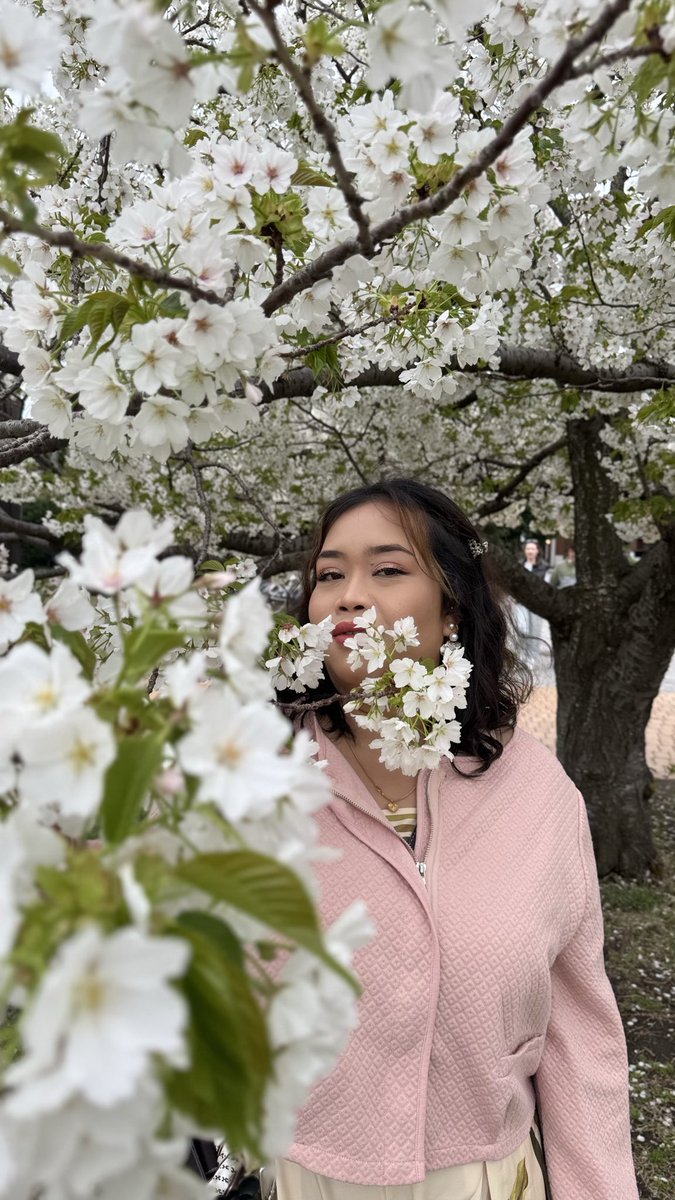 iamTjayCoolz's tweet photo. Sakura trip ❤️ https://t.co/qlhUrEtUyK