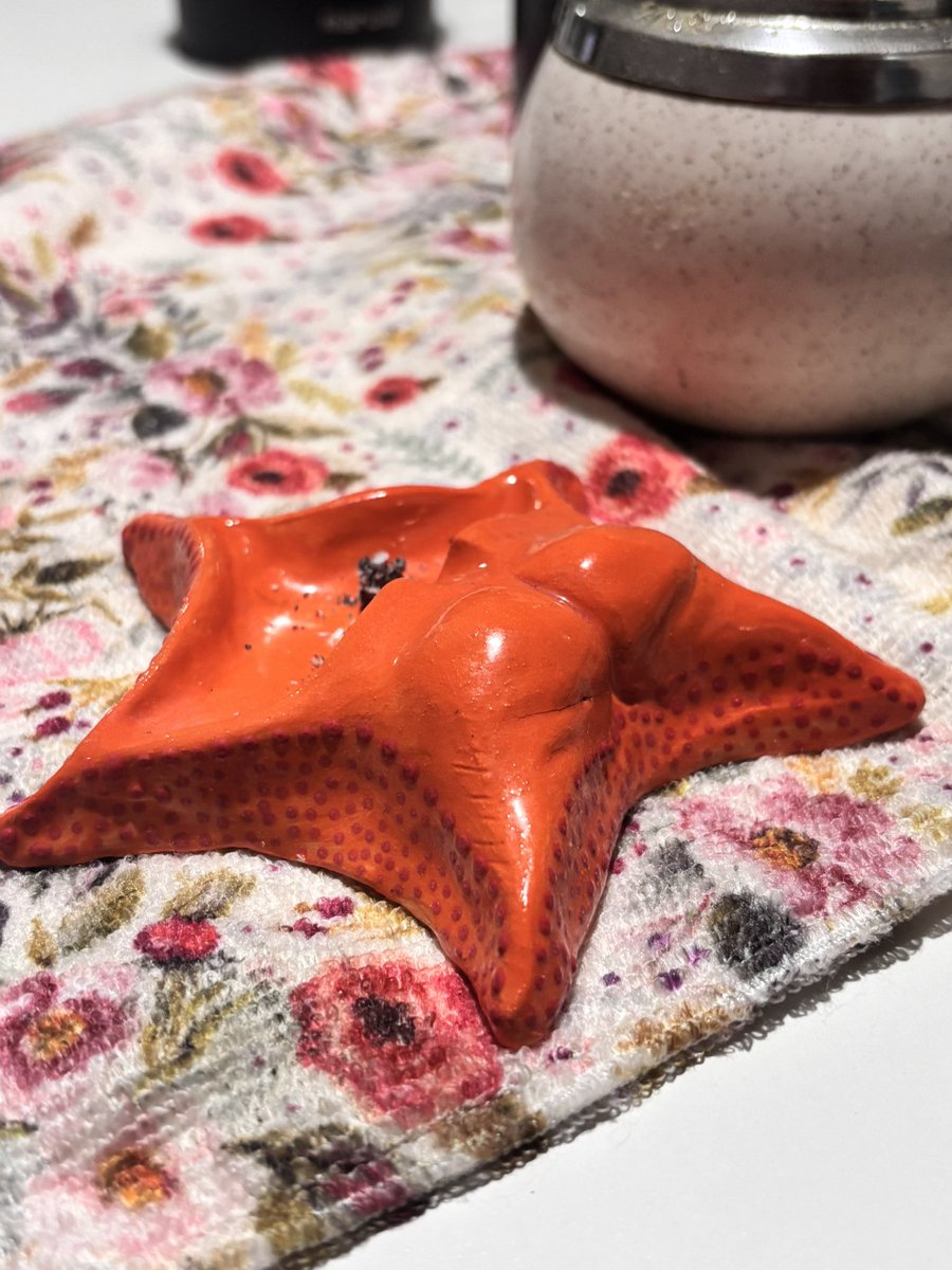 Hola miren mi cenicero