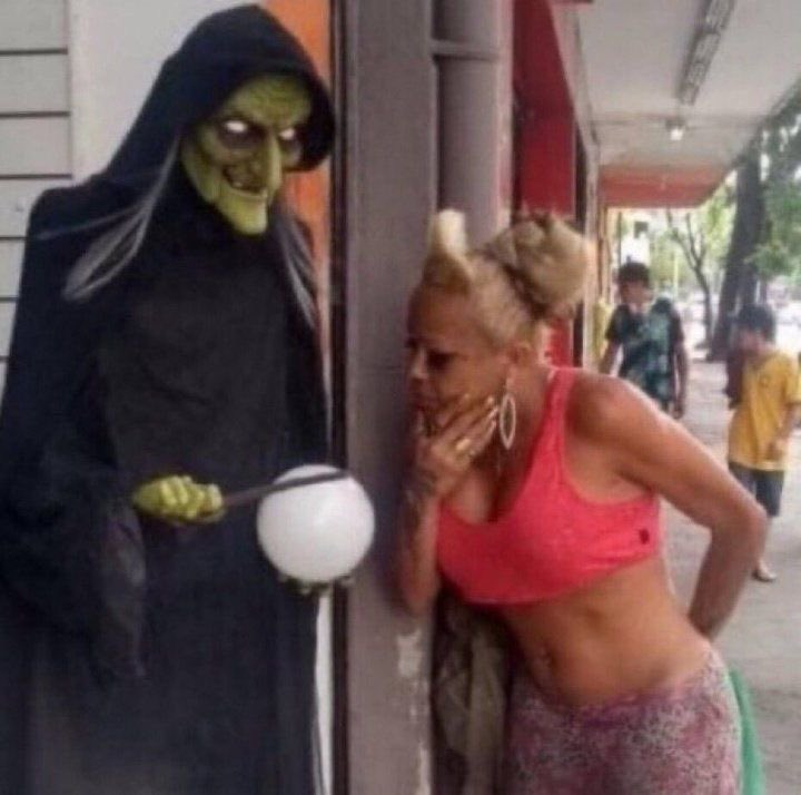 rafael t tweet media