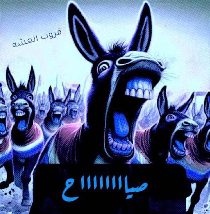 نصر💛 tweet media