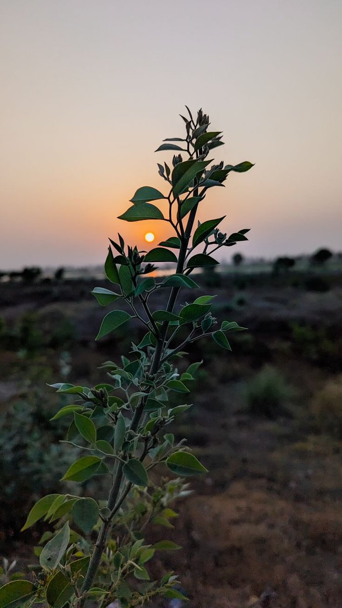 Dnyanu2077's tweet photo. आयुष्यातील काही पराभव, आयुष्याचा शेवट नसतात ..!❤🍃 https://t.co/71Tx51ZJo7