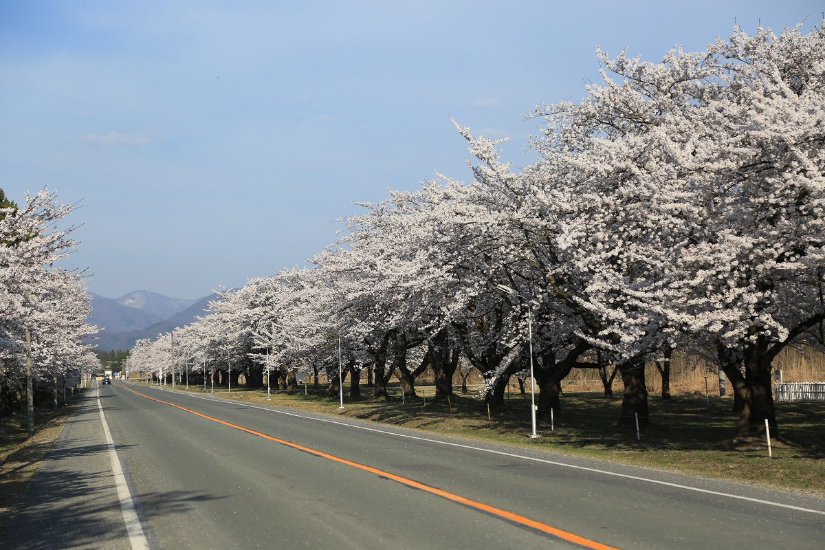 陸上自衛隊　第６師団 tweet media