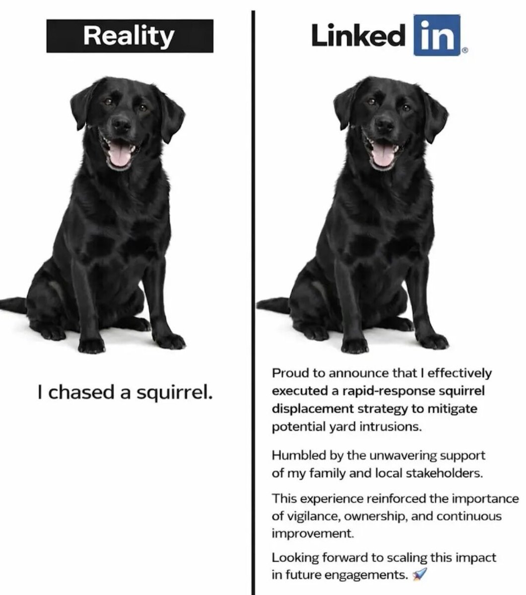 WholesomeMemes tweet media