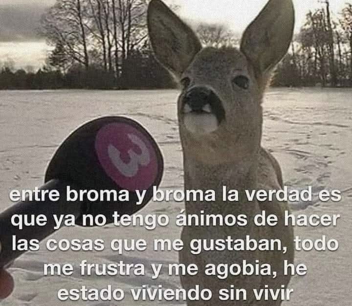 Paisajes del Mundo tweet media