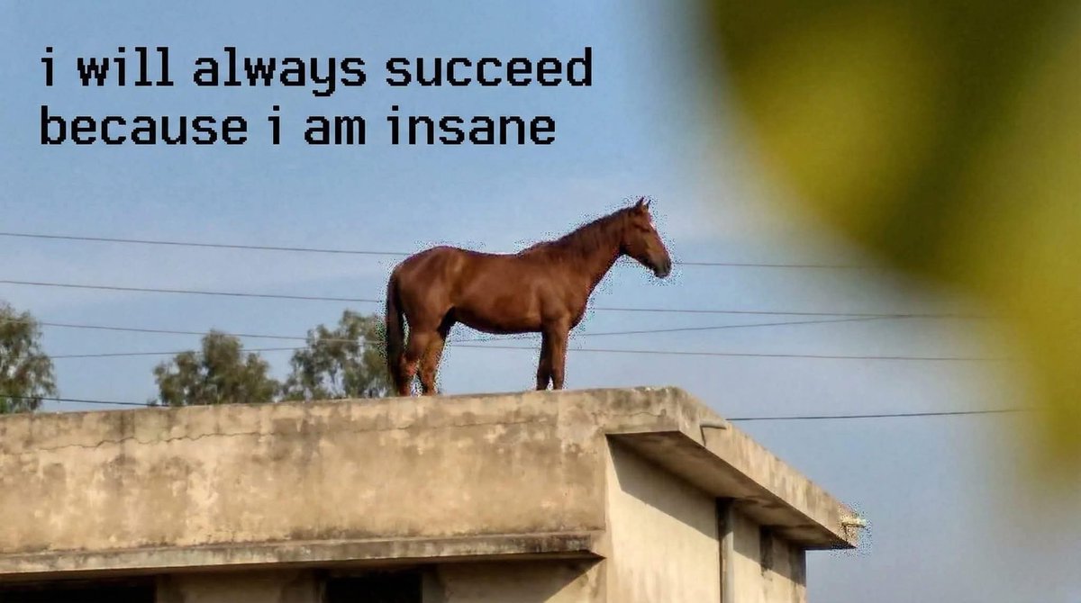 No Nonsense Neurodivergent tweet media