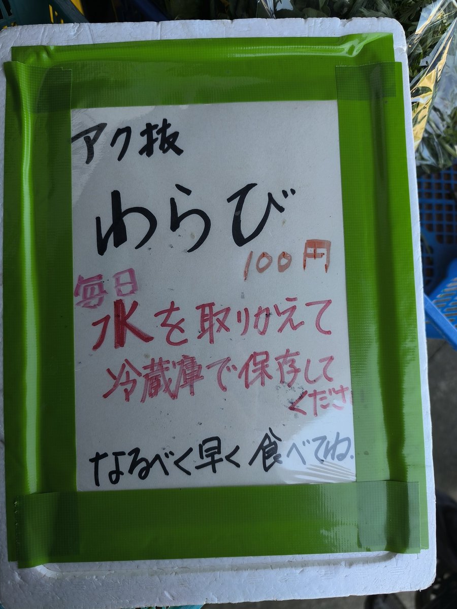 🐢💨 tweet media