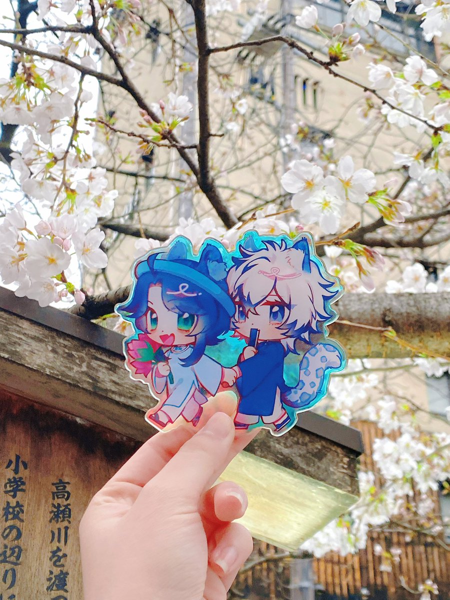 Mayuuda🌻☀️🍋 tweet media