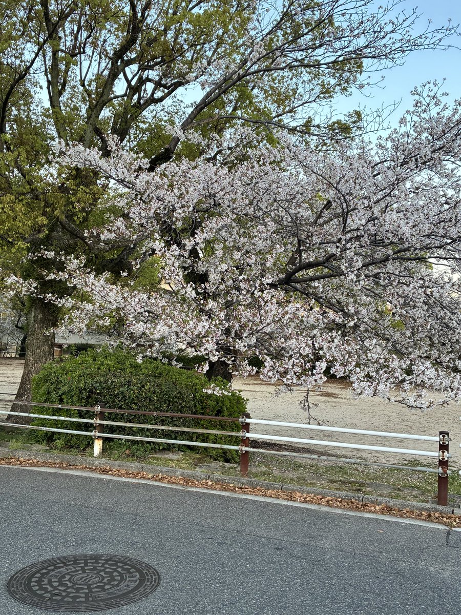 NATURAL69005's tweet photo. 本日、復帰の『めいちゃん』💕

満員御礼ありがとうございます‼️

#広島 https://t.co/lxUQY5QbFM