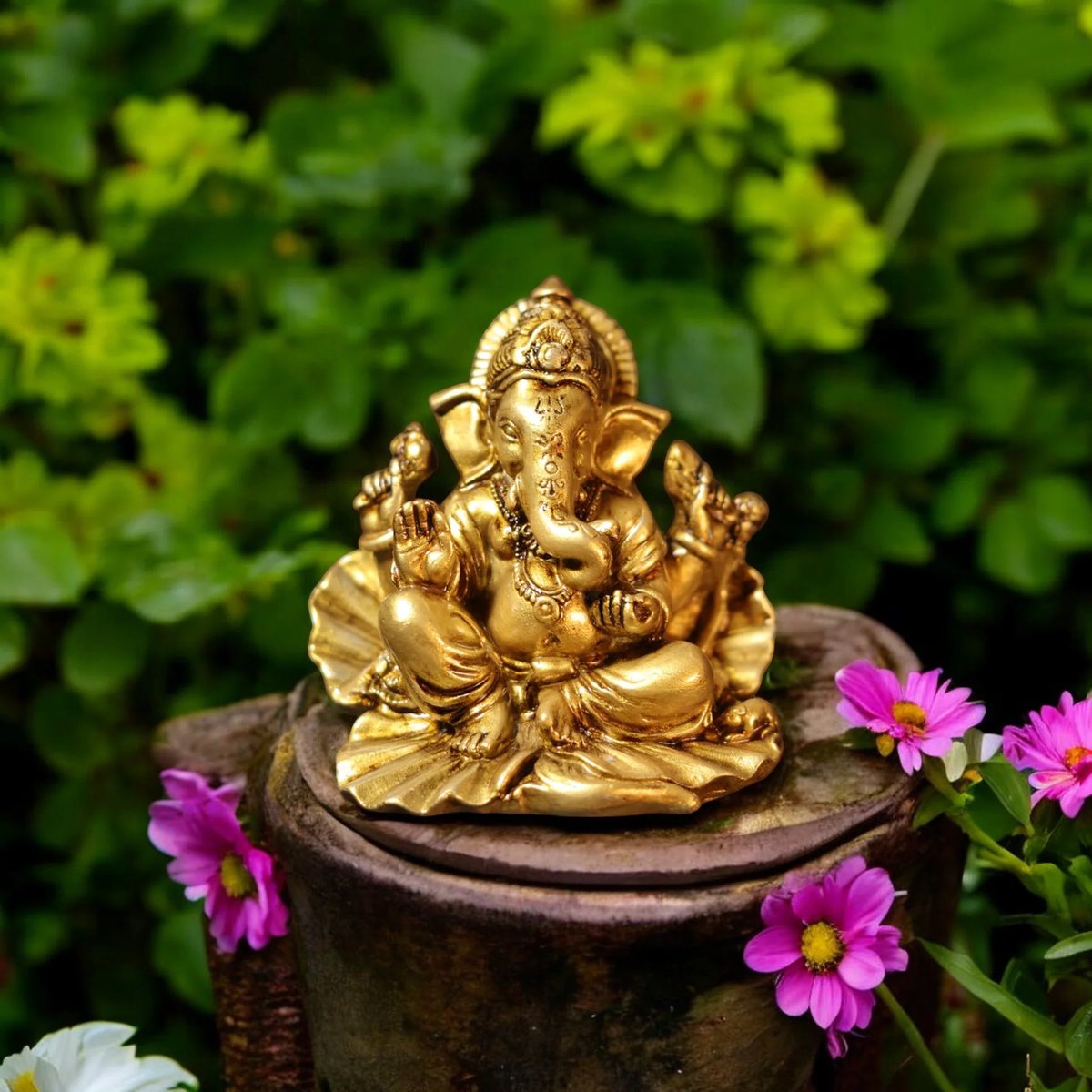 नम्रता सिंह🇮🇳 tweet media