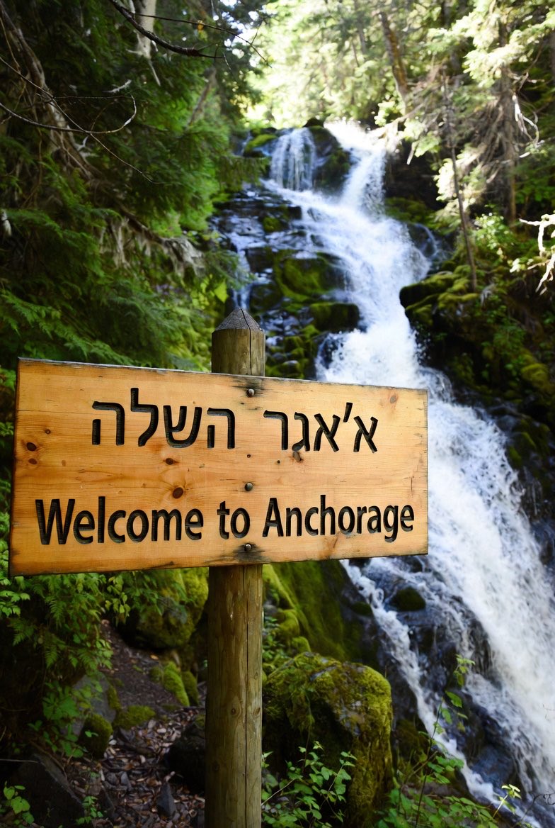 Will Sexton tweet media